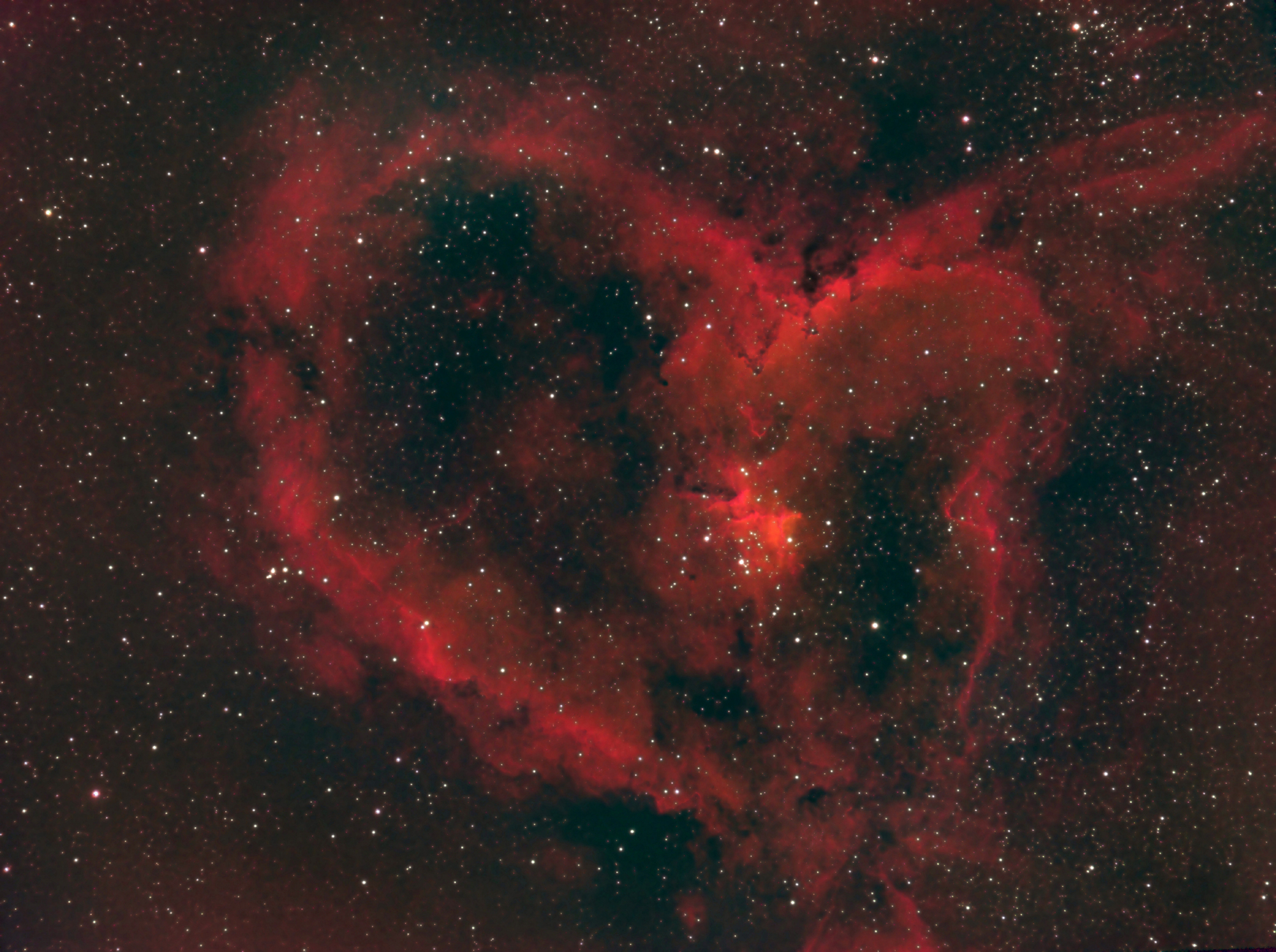 Heart Nebula in colour