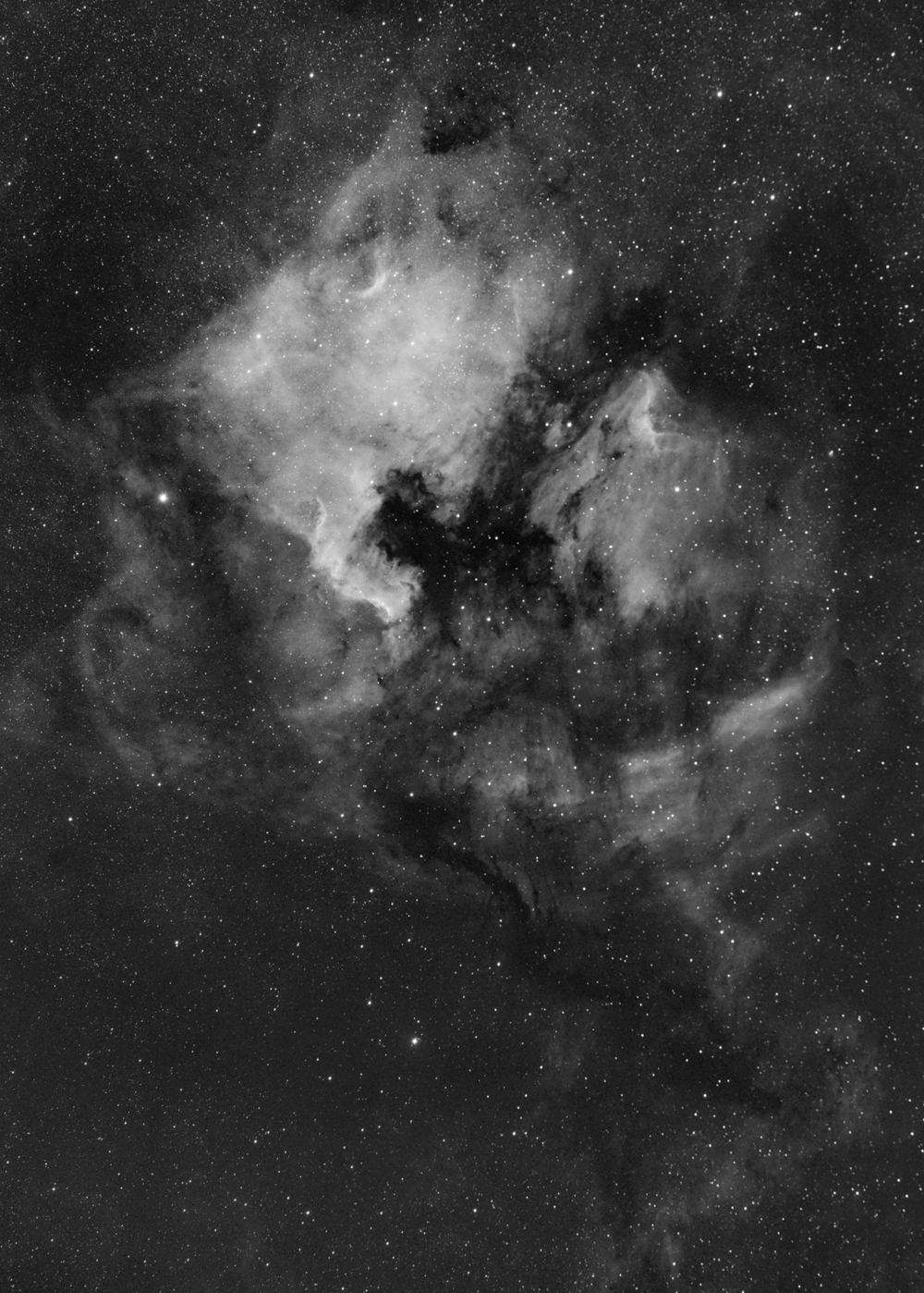 North American & Pelican
                                nebulae - 1000px