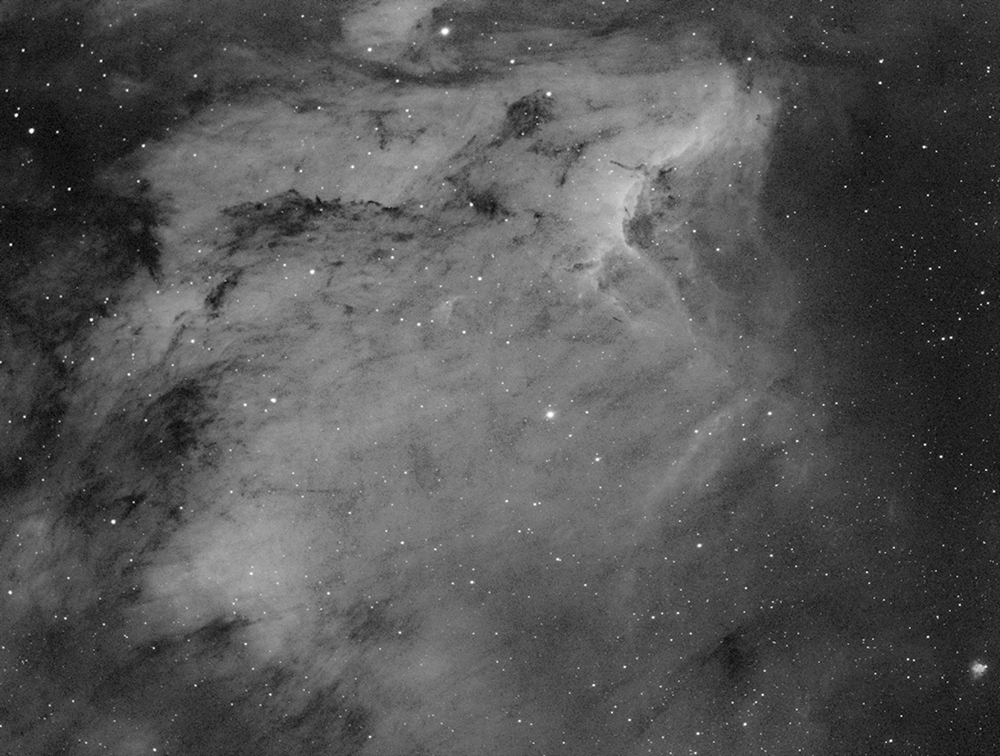 Pelican Nebula - 5m Ha -
                                        testing Cassiopeia &
                                        Caroline only - 08-27-2022 -
                                        23+hrs - 1000px