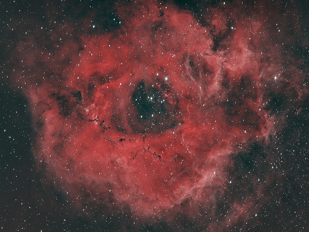 Rosette Nebula - Caldwell 49 - 1000
                          pixels