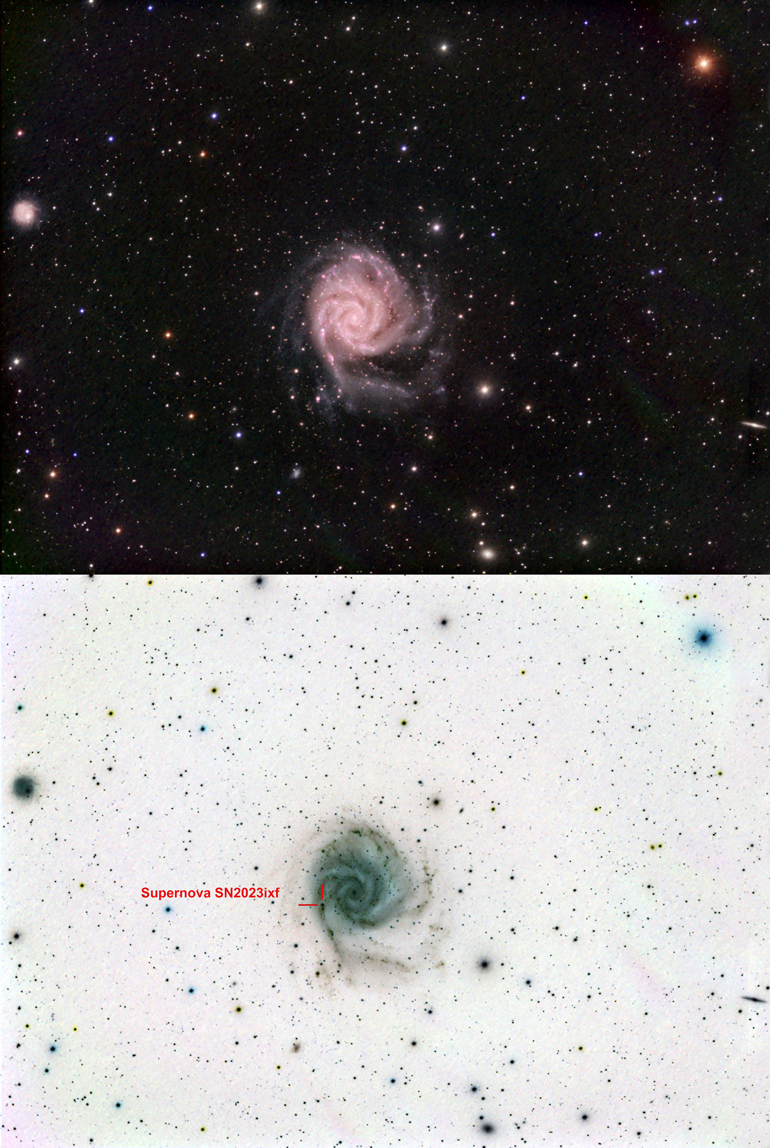 M101 - Pinwheel Galaxy - & Supernova
                          SN2023ixf - imaged 1 day after eruption -
                          5000px